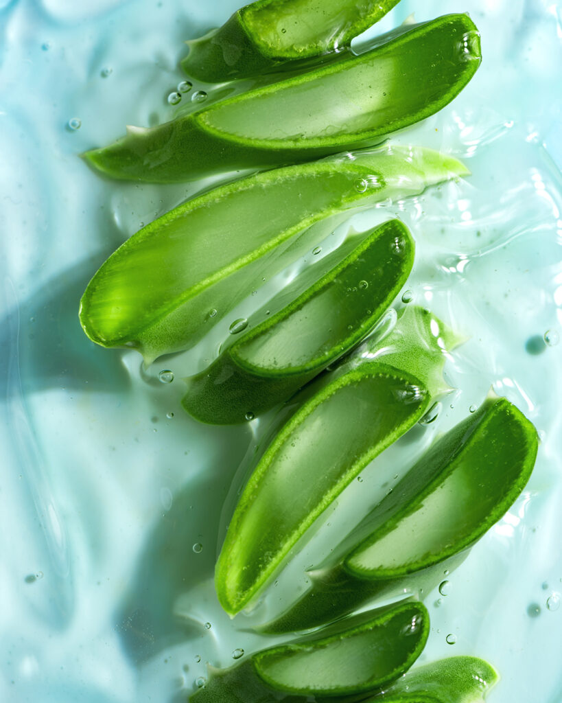 Aloe Vera Barbadensis